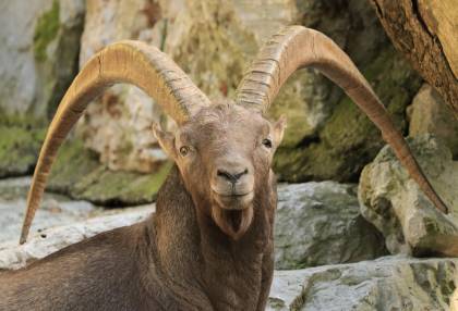 tips-om-een-dagje-alleen-met-de-kids-naar-een-pretpark-te-gaan